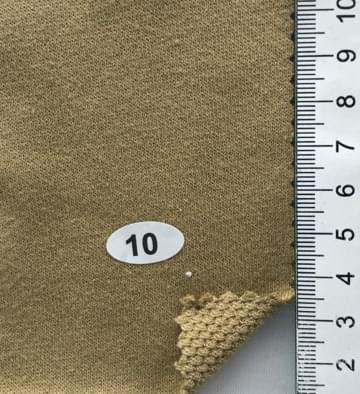 10 Camel