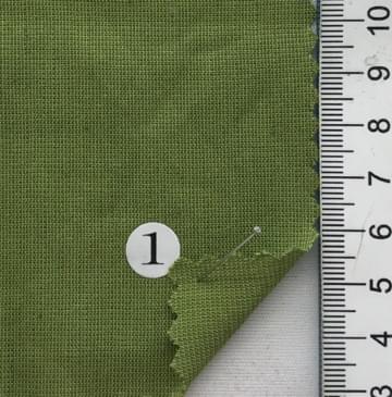 구구1 Pale Green