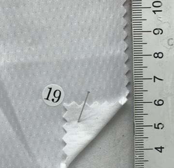 19 White