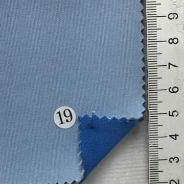 19 Pale Blue