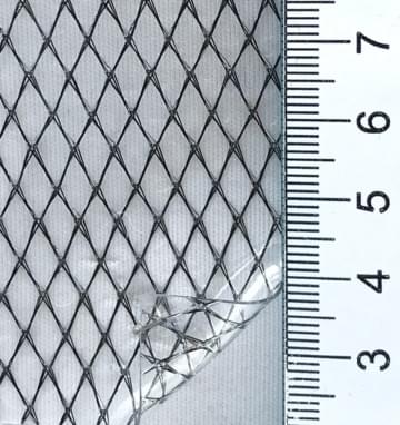 3 Transparent