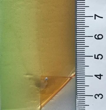 3 Pale Green