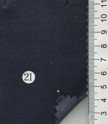21 Navy