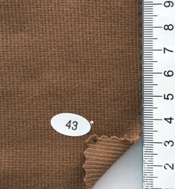 43 Camel