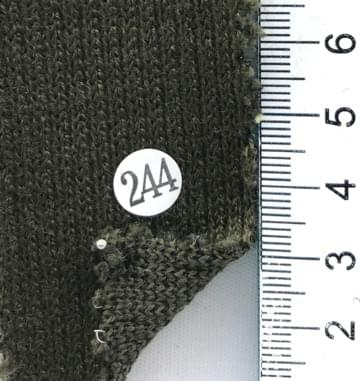 244 Deep Green