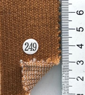249 Camel