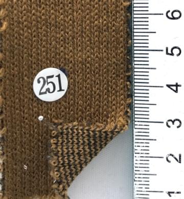 251 Brown