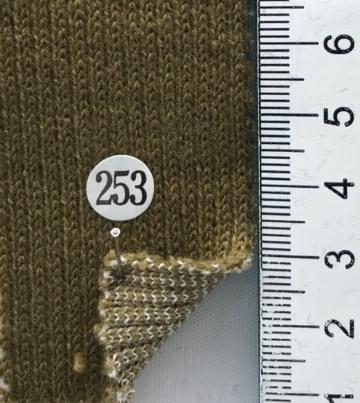 253 Brown