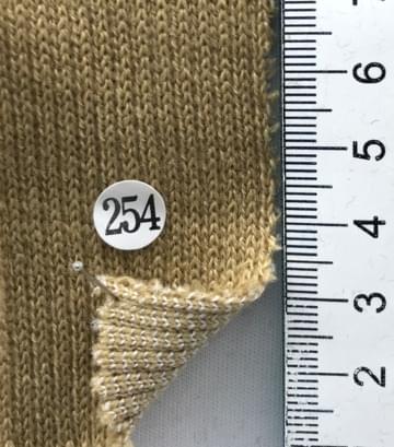 254 Camel