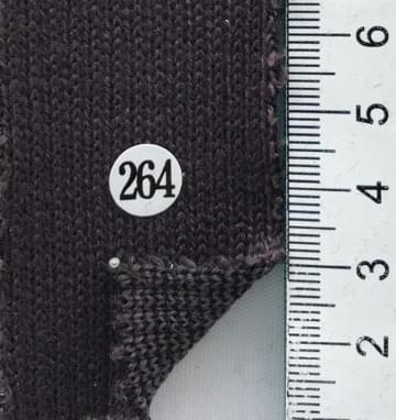 264 Purple