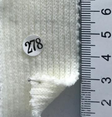 278 Ivory