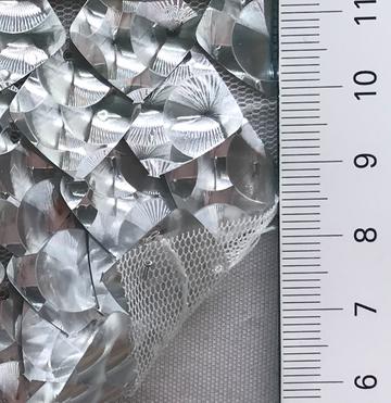 1 Silver