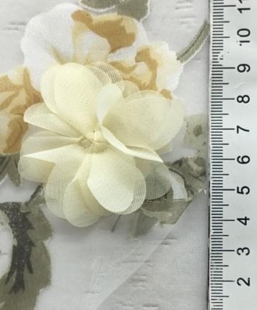 5 Ivory