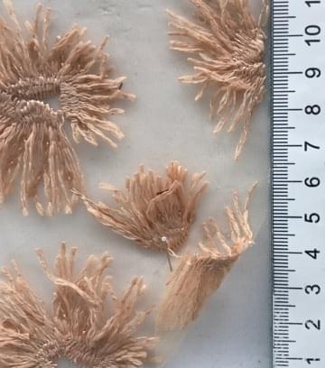 1 Pale Orange