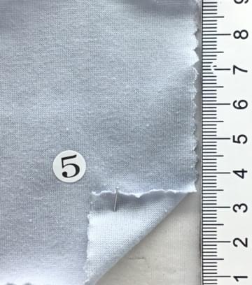 5 Pale Blue