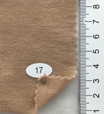 17 Camel