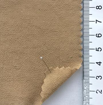 18 Camel