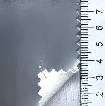 10 Silver