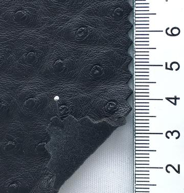 6 Black