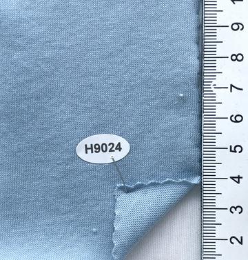 H9024 Pale Blue