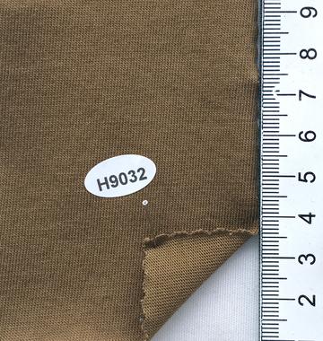 H9032 Camel