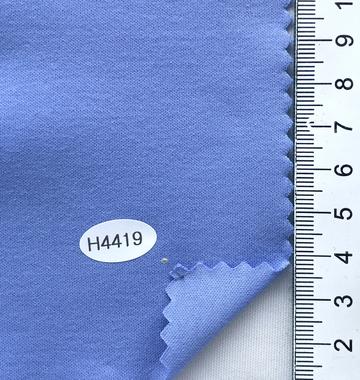 H4419 Pale Blue