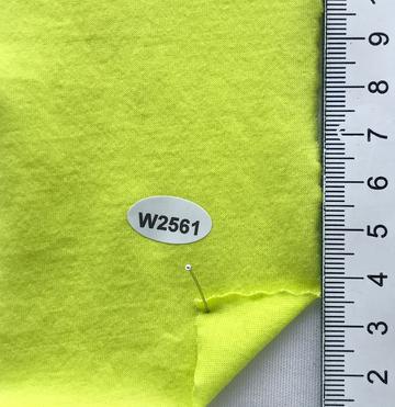 W2561 Pale Green