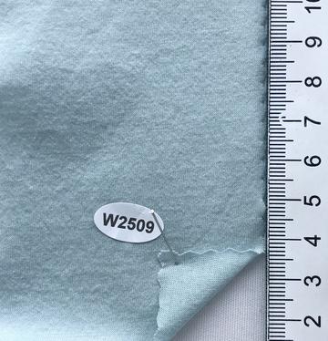 W2509 Pale Blue