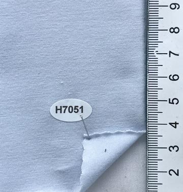 H7051 Pale Blue