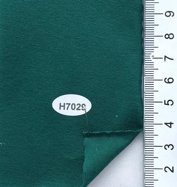 H7029 Green