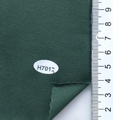 H7017 Deep Green