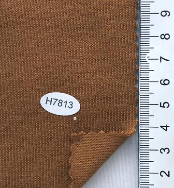 H7813 Camel