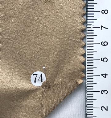 74 Camel
