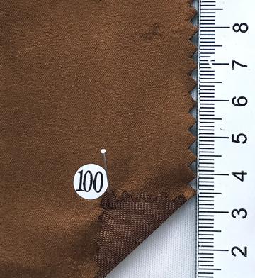 100 Camel