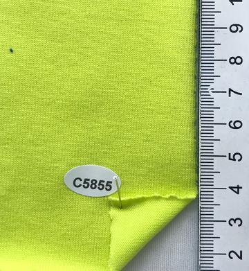 C5855 Pale Green