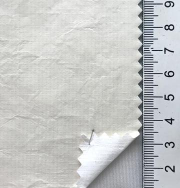 99999 Ivory