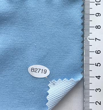 B2719 Pale Blue