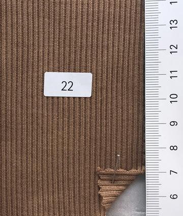 22 Camel