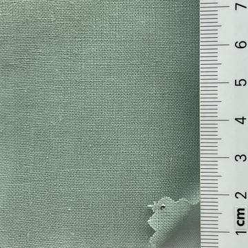 17 Pale Green