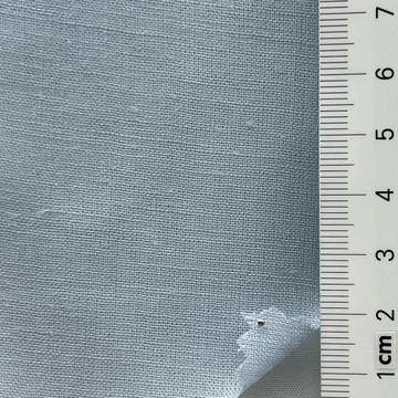 21 Pale Blue
