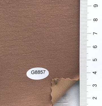 G8857 Camel