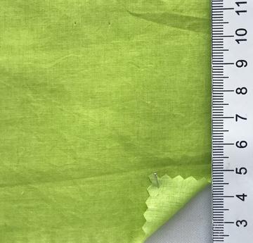 17 Pale Green