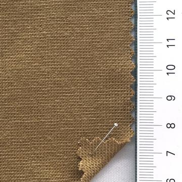 25 Camel