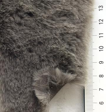 99999 Gray