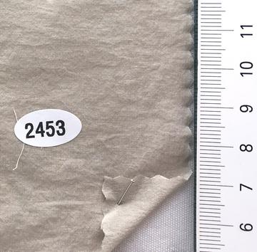 2453 Beige