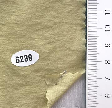 6239 Beige