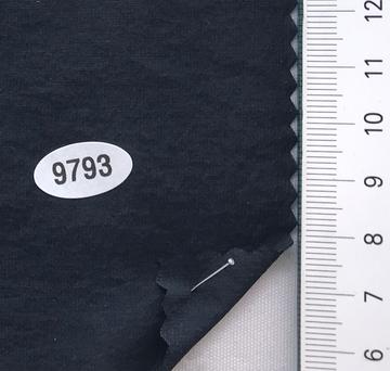 9793 Charcoal
