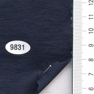 9831 Navy