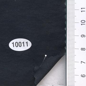 10011 Black