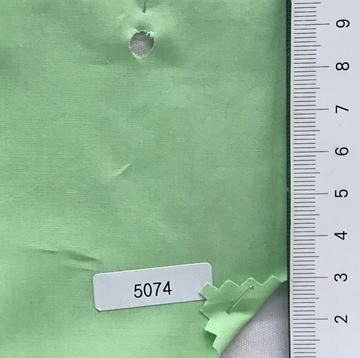 5074 Pale Green